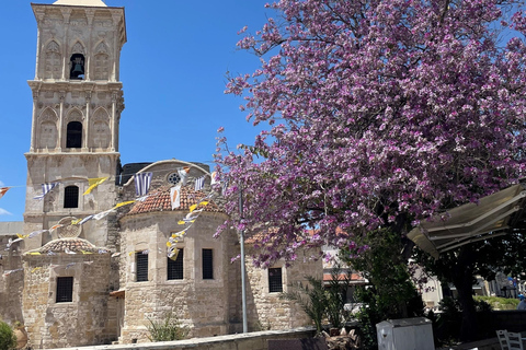 Nicosia and Larnaka Tour from Ayia Napa/Protaras/Larnaka