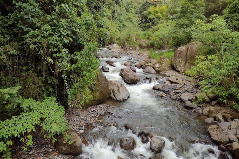 MEDELLIN : VISITE DES JARDINS + ANDES (VUE PANORAMIQUE) + ÉLEVAGE DE TRUITES