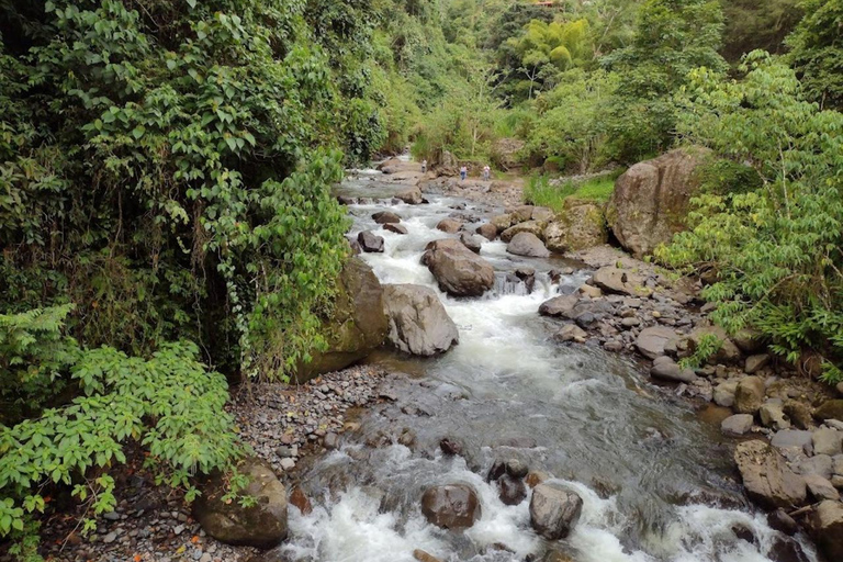 MEDELLIN : VISITE DES JARDINS + ANDES (VUE PANORAMIQUE) + ÉLEVAGE DE TRUITES