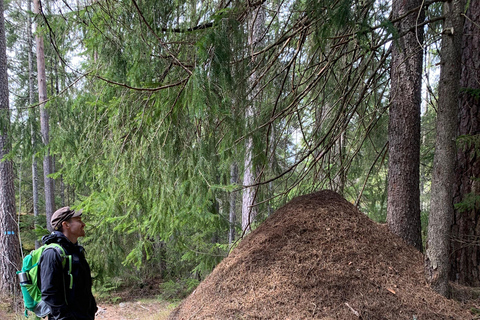 Oslo: Østmarka National Park Guided Hike with Food over Fire