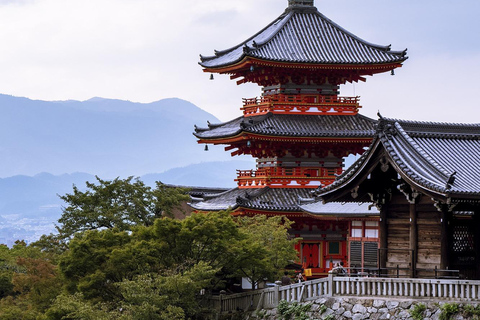 Von Osaka aus: Kyoto Tagestour mit Fushimi Inari Schrein