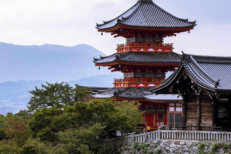 De Osaka: Viagem de 1 dia a Quioto com o Santuário Fushimi Inari