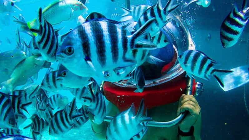 Walking under the sea in Mauritius with transfer
