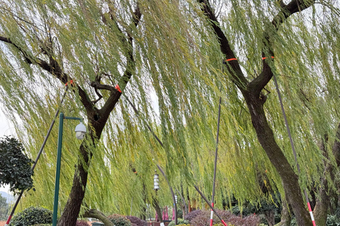Hangzhou Private Tour: One to 4 days Option Selectable 3-Day Tour, Explore Hangzhou in Depth
