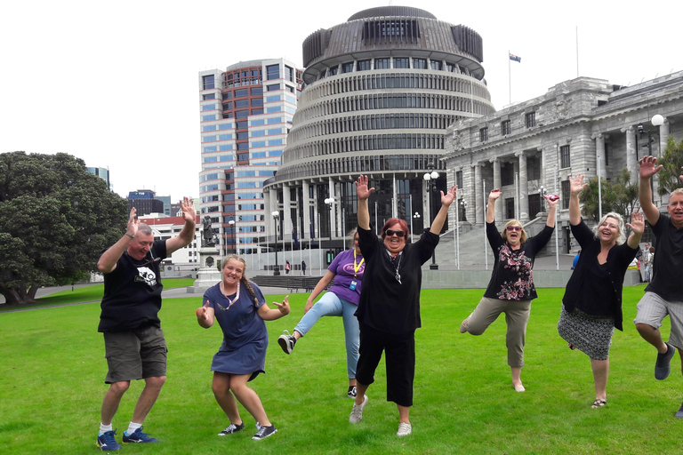 Wellington: Tour guidato della città con viaggio in funivia