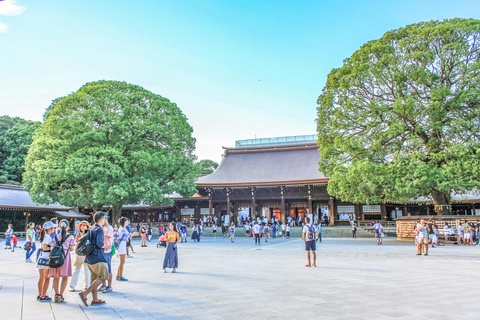 Discover Tokyo, Private Customizable Tour with Expert Guides 7-hours Tour