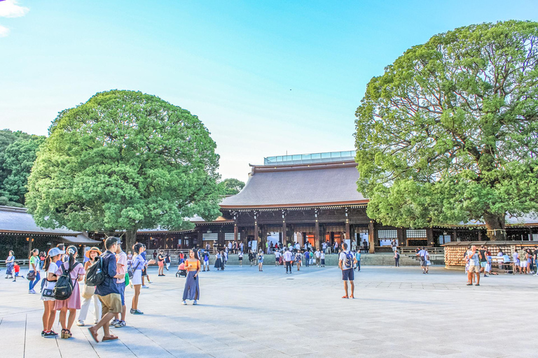 Tokyo: Explore with Expert Guides on a Private Tour7-hours Tour