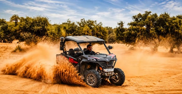 Agadir: Desert Buggy Safari, forests & Berber Tea