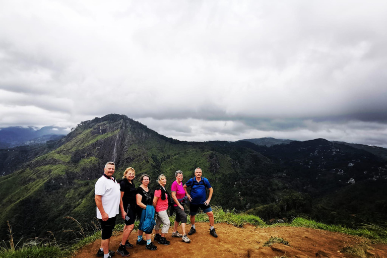 Ella Day Tour From Bentota, Beruwala