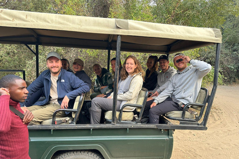 Safari en voiture