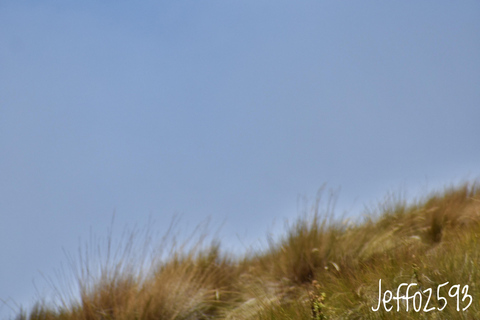 Antisana Nationaal Park - Andes Condor spotten