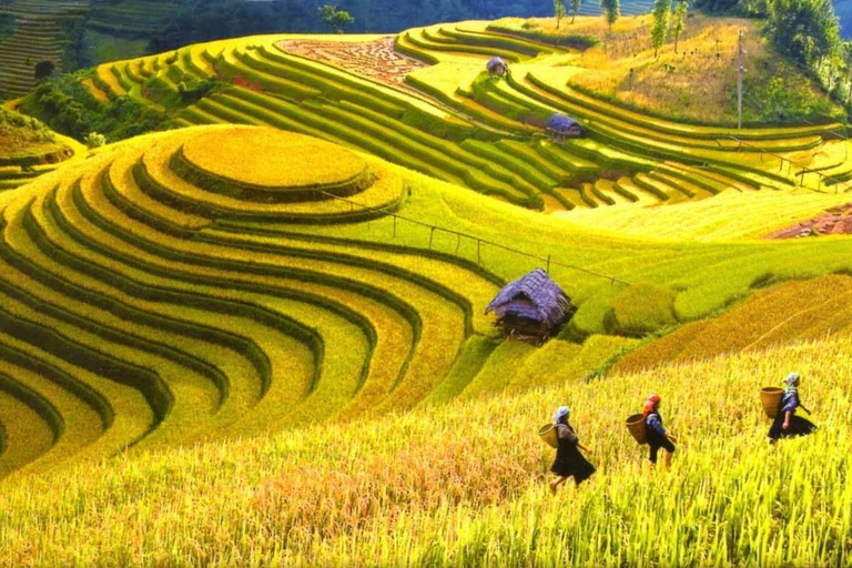 Hanoi: Sapa 3-Days Tour Cat Cat Village, Fansipan and Moana