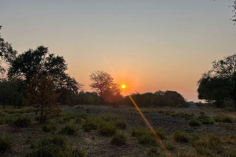 Birdwatching Livingstone Zambezi River with Sunrise