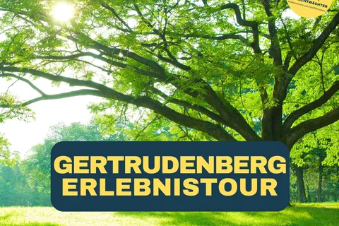 Osnabrück: Gertrudenberg-Führung (Erlebnistour)