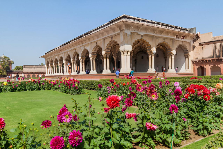 Visita al Taj Mahal, Fuerte de Agra y Conservación de Elefantes desde DelhiCoche privado con aire acondicionado, conductor y guía, regreso a Jaipur