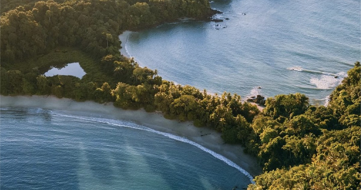 From Jacó Day Tour Manuel Antonio GetYourGuide