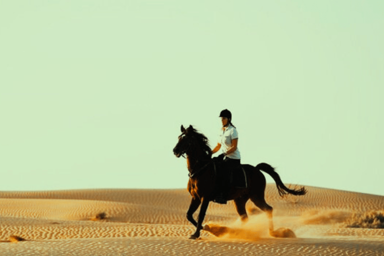 Excursiones de 3 horas a caballo árabe en el desierto de Qatar.