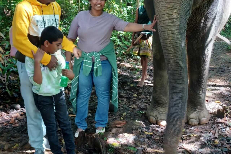 Colombo Flughafen (CMB) nach Kandy Stadt PrivattransferTransfer im klimatisierten Mini-Auto