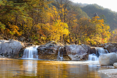 سيول: جولة يومية لمشاهدة أوراق الخريف في حديقة أودايسان أو دايدونسانجولة مشتركة لمشاهدة أوراق شجر 