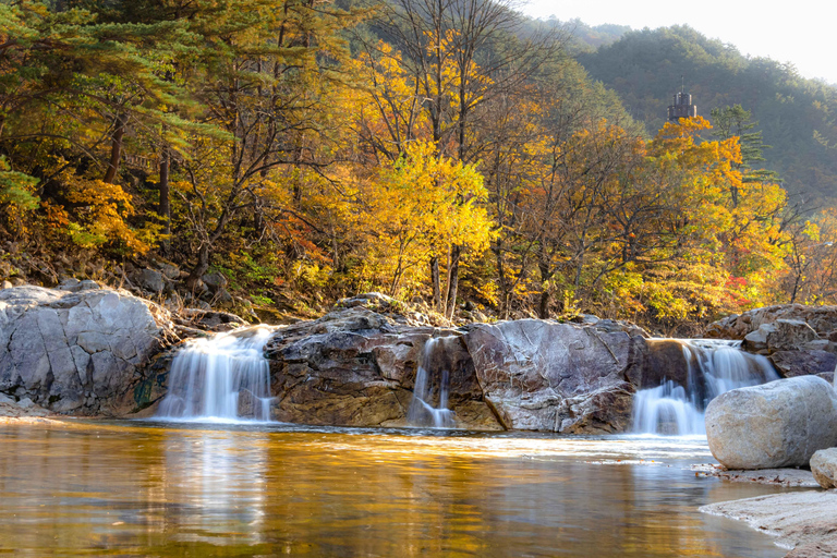 سيول: جولة يومية لمشاهدة أوراق الخريف في حديقة أودايسان أو دايدونسانجولة مشتركة لمشاهدة أوراق شجر 