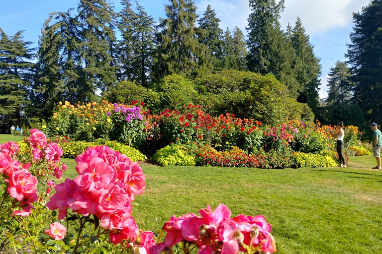 Stanley Park Autotocht: Comfort &amp; Goedkoper Dan Fietsverhuur/Tour