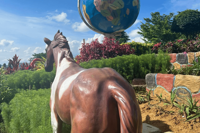 Cebu City: Heritage and Uphill Tour with 10,000 Roses