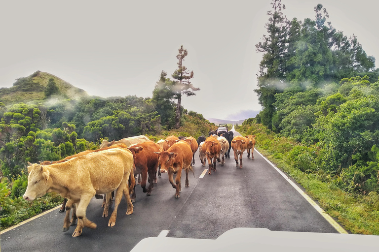 Excursión en jeep de 1 día por la isla de Pico - Azores.Excursión de 1 día en jeep por la isla de Pico - Azores
