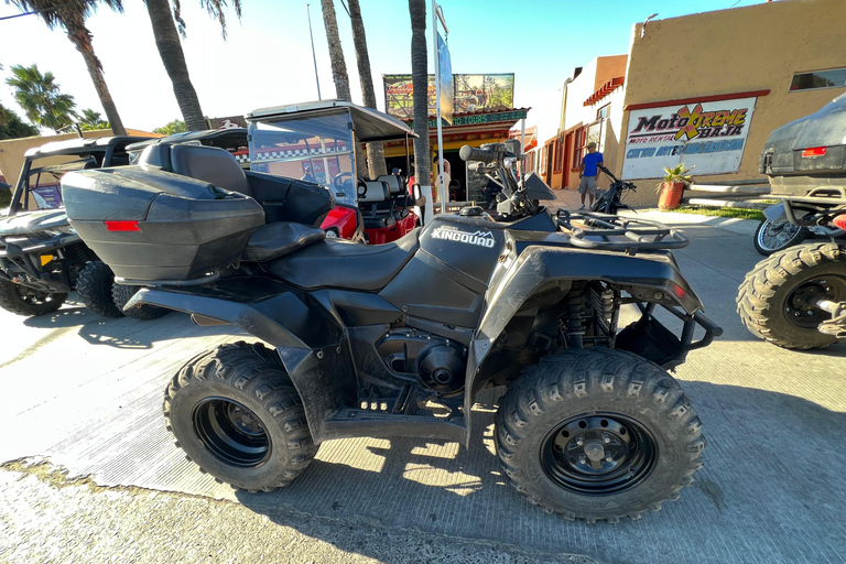 Ensenada: rental, atv, side by sides, dirt bikes and more.