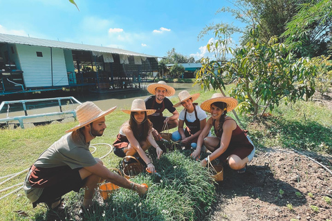 Doświadczenie organicznego gotowania tajskiego w Chiang Mai