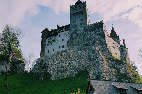 Bukarest: Dracula och Peles slott för privatpersoner