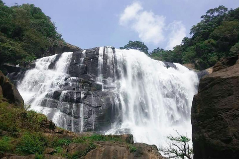 From Kandy: Wasgamuwa Safari & Rathna Ella Waterfall Tour