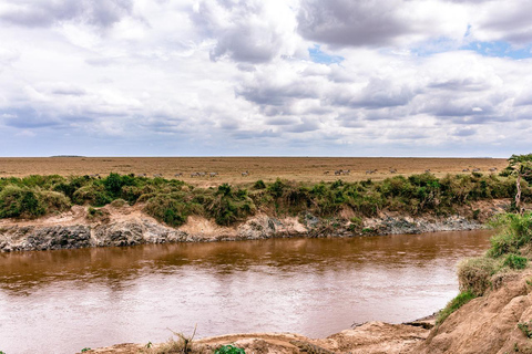 Excursão de um dia para a Reserva de Caça Maasai Mara saindo de Nairóbi