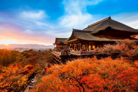 Ab Osaka: Kyoto Top-Sehenswürdigkeiten TagestourAb Osaka-Namba mit Standard-Mittagessen