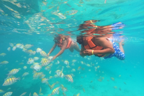 Punta Cana: Catamaran cruise met snorkelen op Catalina eiland