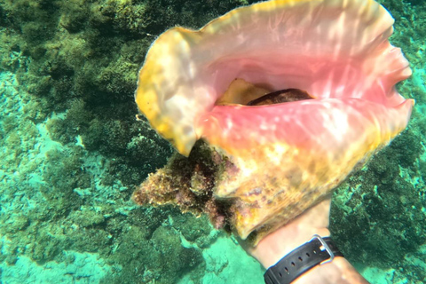 Guadeloupe: Discover the Grand Cul Sac Marin Nature Reserve Daytime boat tour of the Grand Cul Sac Marin Nature Reserve