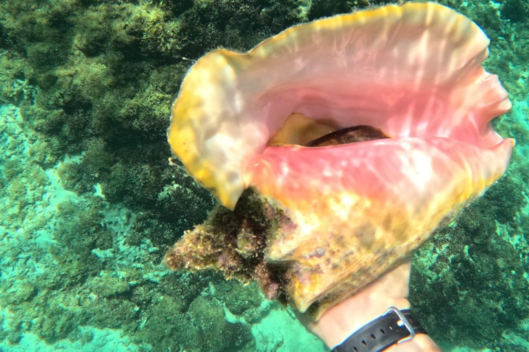 Guadeloupe: Discover the Grand Cul Sac Marin Nature Reserve Daytime boat tour of the Grand Cul Sac Marin Nature Reserve