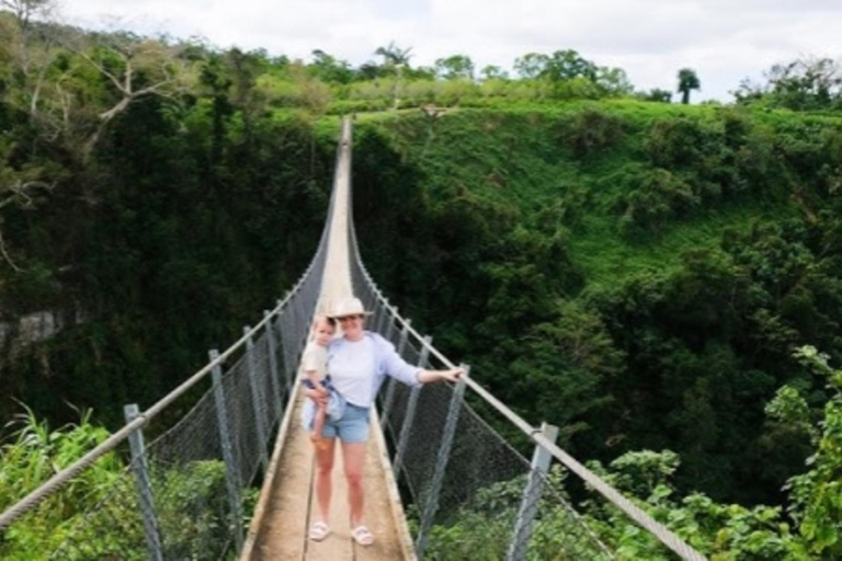 Vanuatu: Sky Bridge, Coffee Factory, & Mele Cascades Tour