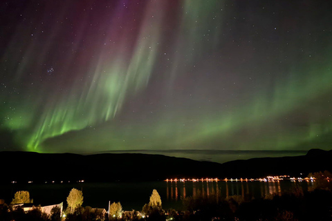 Tromsø: Northern Lights Tour with Photos & Snacks