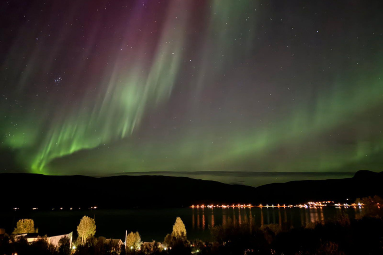 Tromsø: Northern Lights Tour with Photos & Snacks