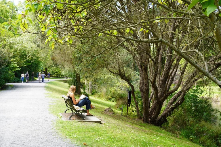 Christchurch: 90-Minute Botanic Gardens Guided Walking Tour