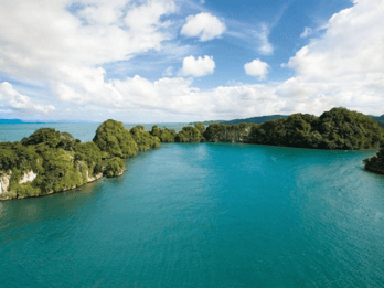 Boca Chica : Los Haitises Guided Hike and Kayaking