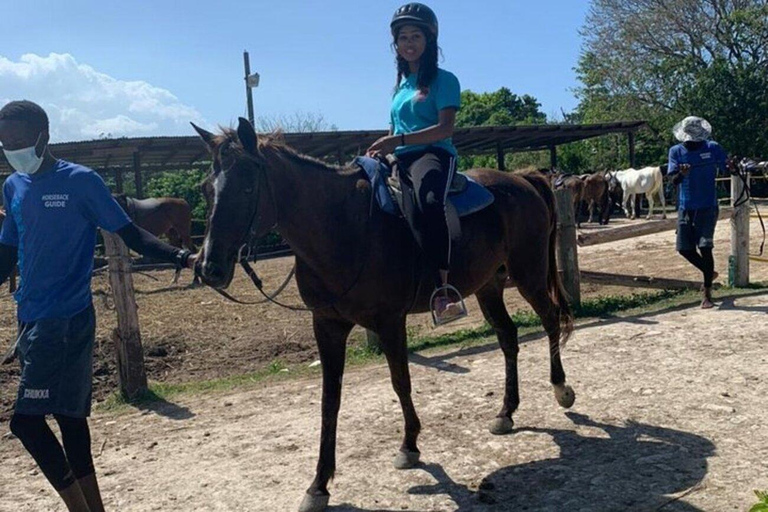 (Falmouth: Horseback Riding in the ocean & Bamboo Rafting