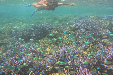 Lombok Private Snorkeling: Hidden Southwest 5 Gili Islands Lombok: Private Snorkeling Gili Asahan (5 Gilis) + Lunch