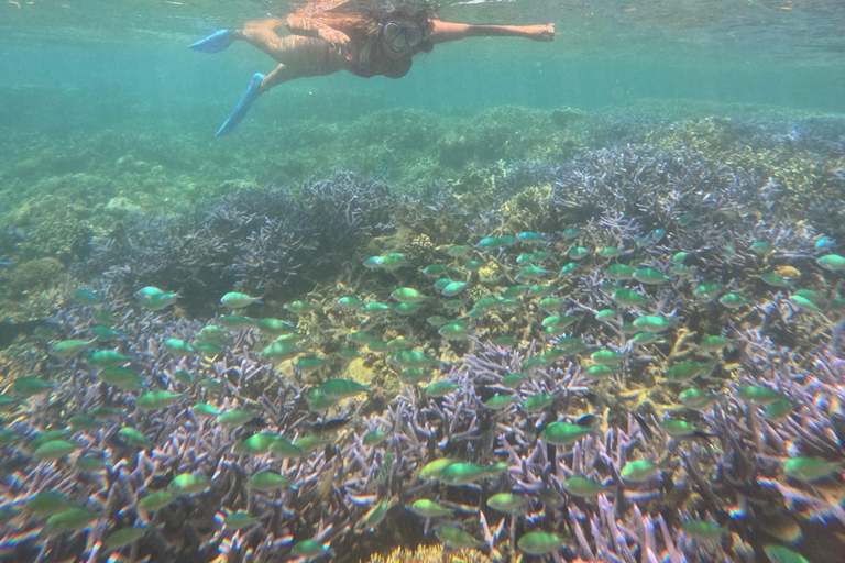 Lombok Private Snorkeling: Hidden Southwest 5 Gili Islands Lombok: Private Snorkeling Gili Asahan (5 Gilis) + Lunch