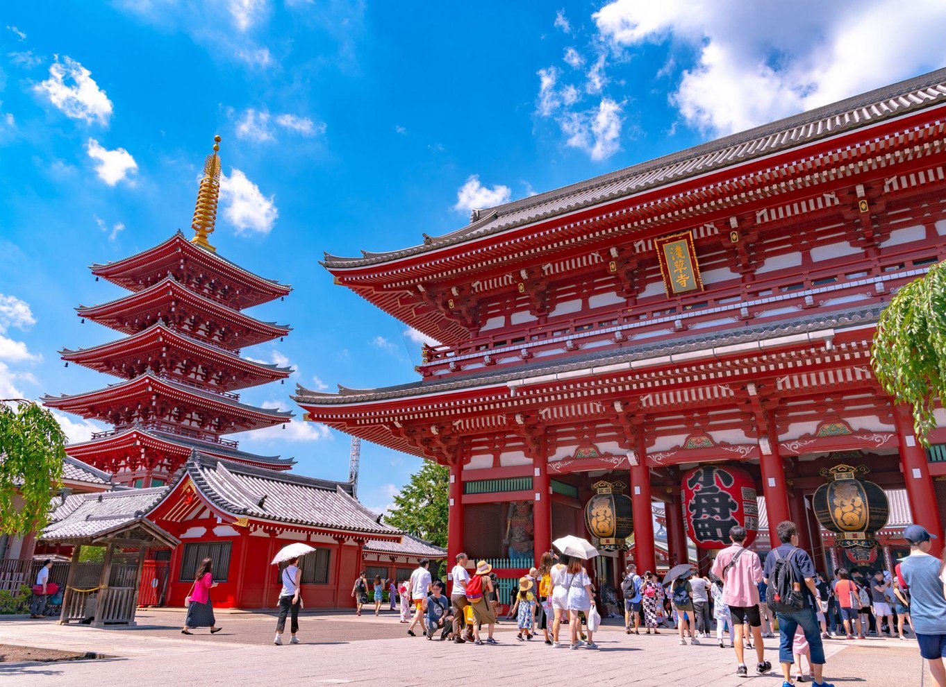 Tokyo: Kursus i rulning og tilberedning af autentisk sushi i Asakusa