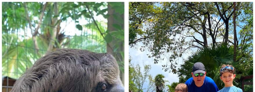 Daniel Johnson Monkey & Sloths, Iguana Farm Combo Tour