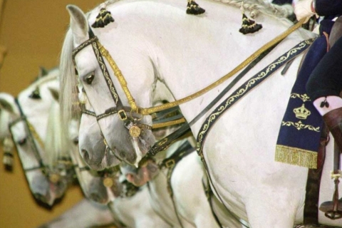Van Sevilla: Ronde van Jerez met paardenshow en wijnproeverijRonde van Jerez met paardenshow en wijnproeverij - Engels
