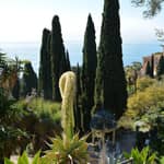 Ventimiglia: ingresso ai Giardini Botanici Hanbury