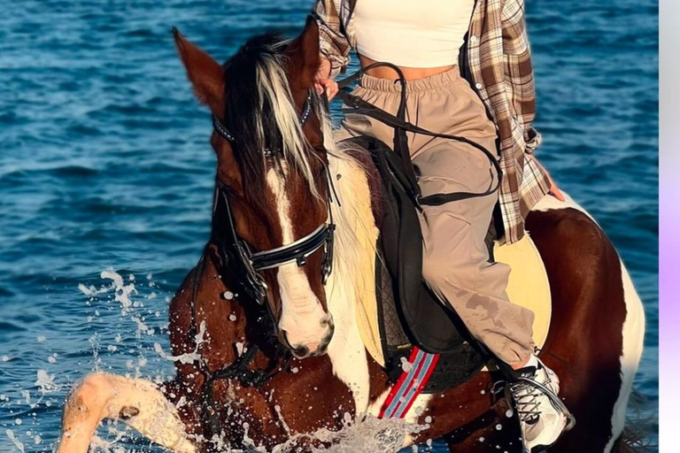 Szarm el-Szejk: jazda konna na pustyni i nad morzem z transferemSzarm el-Szejk: pustynia, morze i jazda konna z transferami