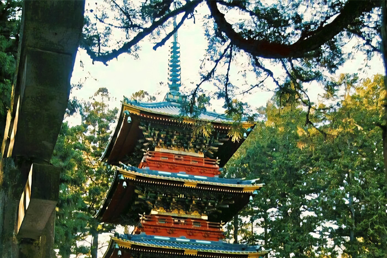 Nikko: 11 Hours' Tour with Licensed English Guide & Car Luxury Extra Spacious Hiace for upto 12 Persons